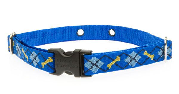 DogWatch Replacement Receiver Collar 3/4 Inch - Waterproof & Adjustable for Small to Medium Dogs - Perfect for Training, Containment & Outdoor Adventures