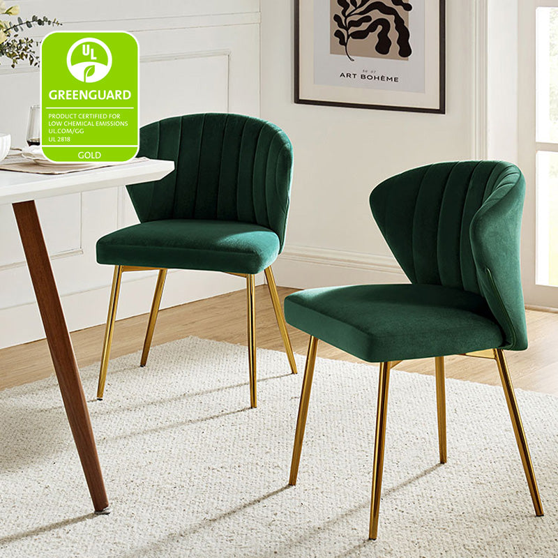 Aruna Side Chair Set - Modern Dining Chairs for Kitchen, Living Room & Office - 2-Piece Wooden Accent Chairs with Cushion - Perfect for Small Spaces, Breakfast Nook & Home Decor