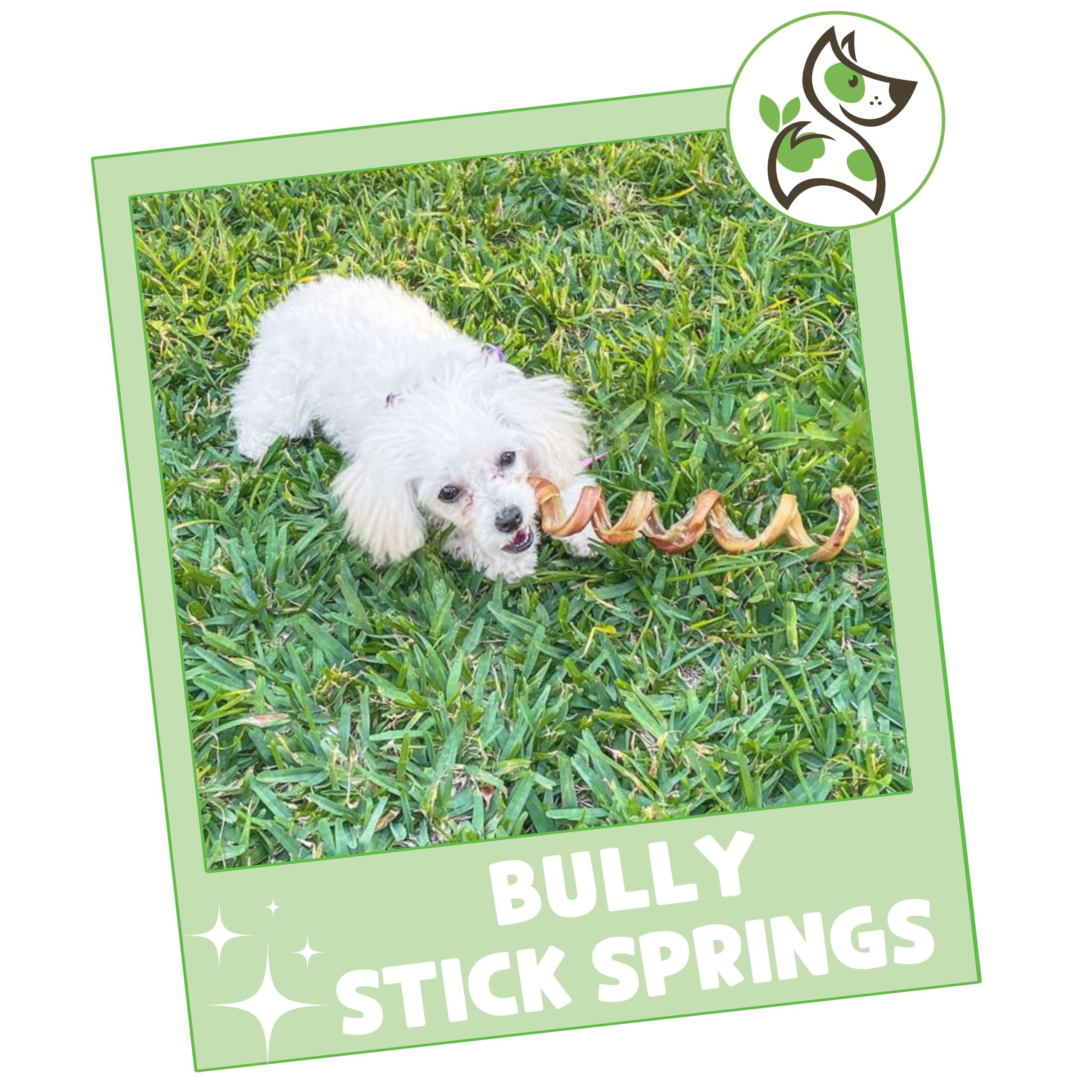 Nature Gnaws Bully Stick Springs for Dogs 7-8