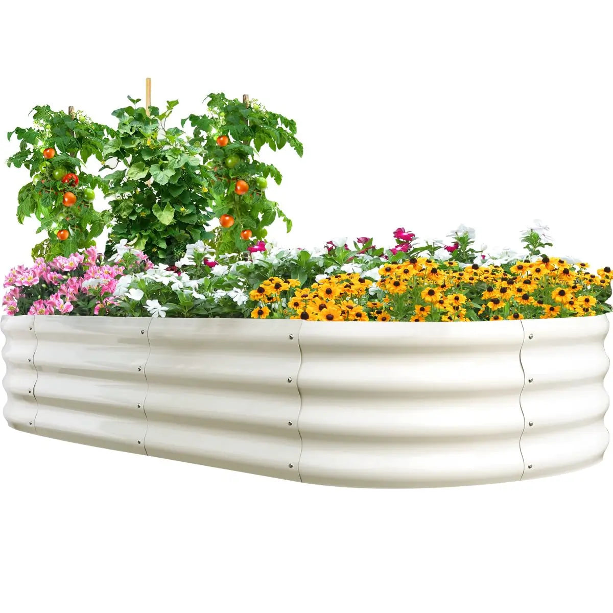 6' x 3' x 1' Oval Galvanized Steel Raised Garden Bed Kit - Beige Color for Outdoor Gardening, Vegetables, Flowers & Herbs - Perfect for Backyard, Patio & Small Space Gardening