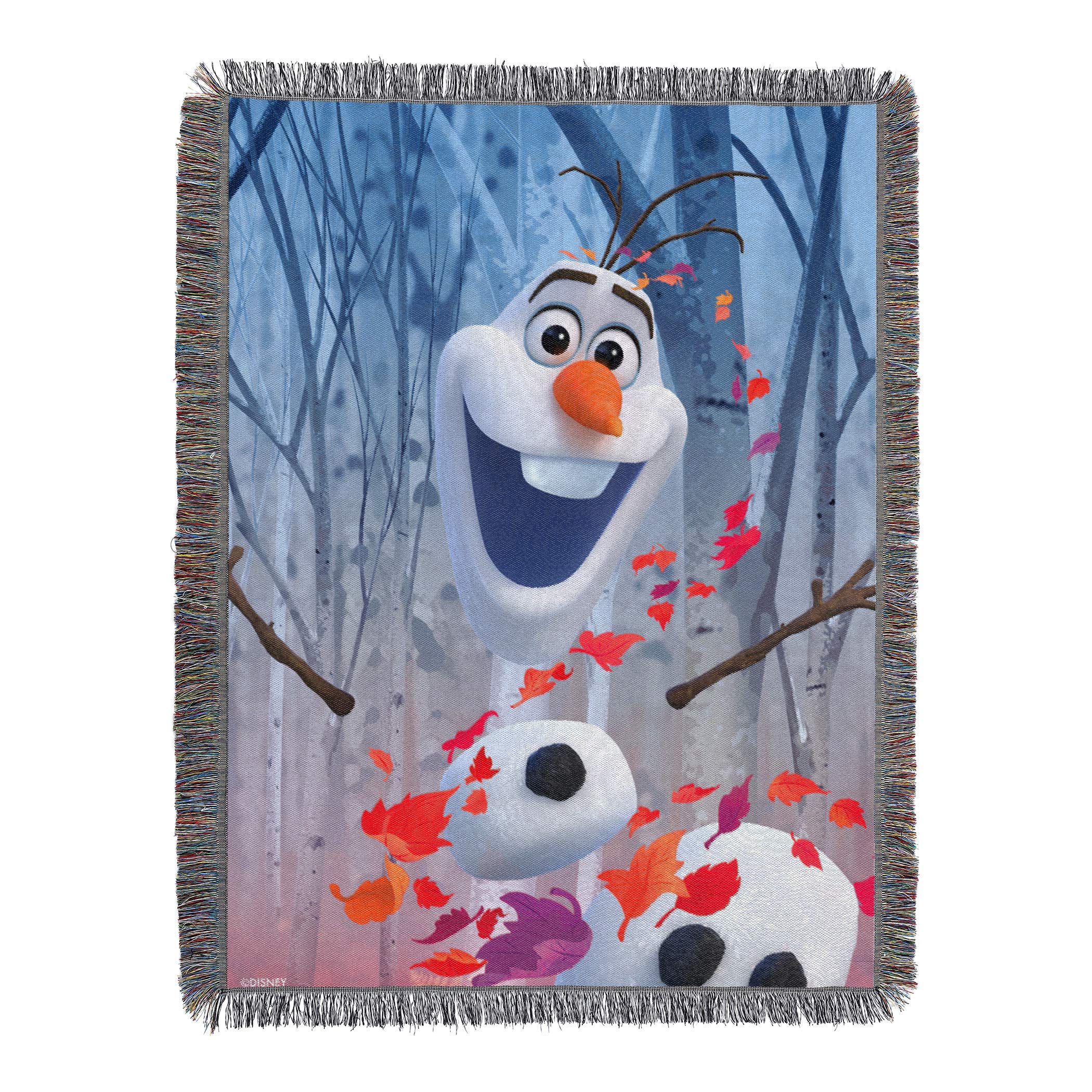 Northwest Frozen Woven Tapestry Throw Blanket 48x60 Inches - In The Leaves Design - Cozy Winter Blanket for Couch, Bed, Sofa & Home Decor
