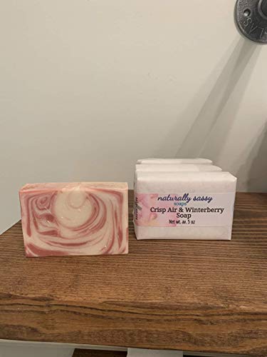 Fresh Winterberry Scented Air Freshener for Home & Car - Natural Aroma for Relaxation & Stress Relief - Perfect for Living Room, Bedroom, Office & Vehicles