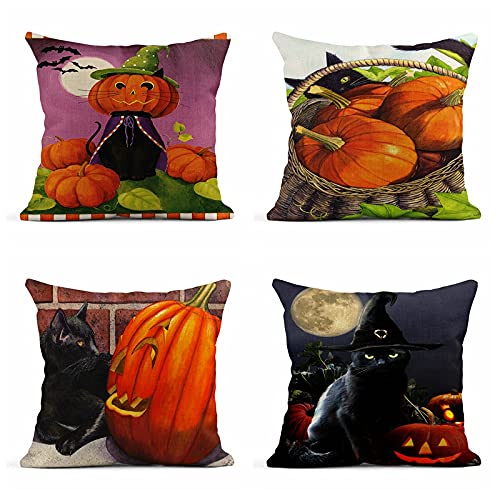 Halloween Cat