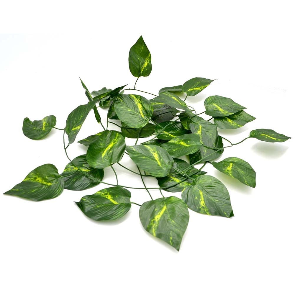 Jungle Reptile Vine - Natural Terrarium Decor for Reptiles & Amphibians - Perfect for Climbing, Hiding & Habitat Enrichment in Vivariums