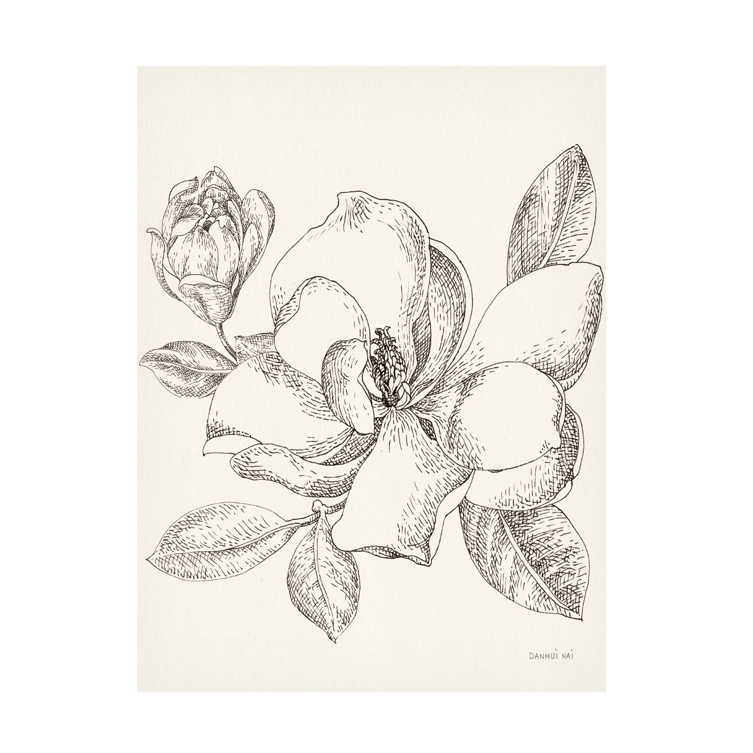 Danhui Nai 'Flower Sketches II' Canvas Wall Art Print - Modern Botanical Decor for Living Room, Bedroom & Office
