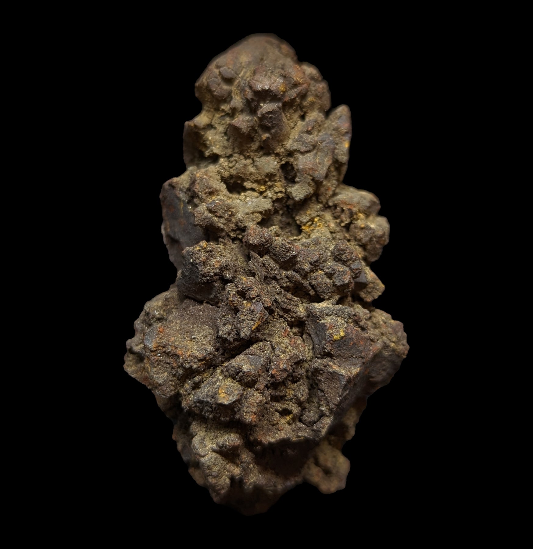 Authentic Coprolite Fossil Specimen - Rare Dinosaur Dung Stone for Collectors & Paleontology Enthusiasts | Perfect for Home Decor, Science Education & Unique Gift Ideas