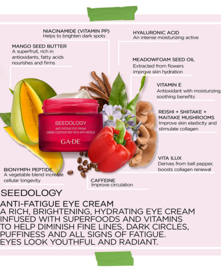 Seedology Anti-Fatigue Eye Cream for Dark Circles & Puffiness - Hydrating Under Eye Treatment for Men & Women - Perfect for Night Use & Travel Skincare Routine