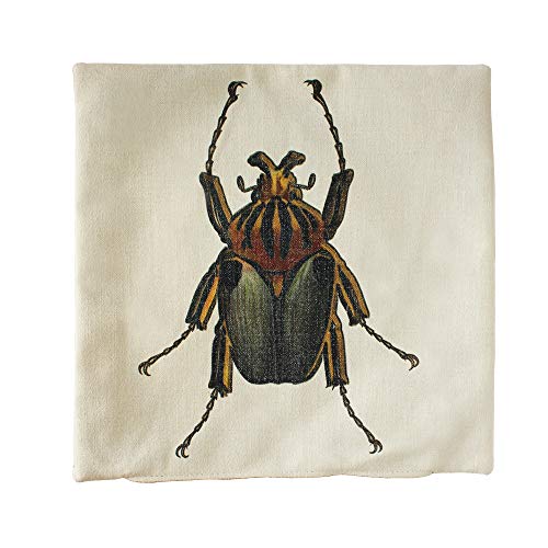 Beetle 2