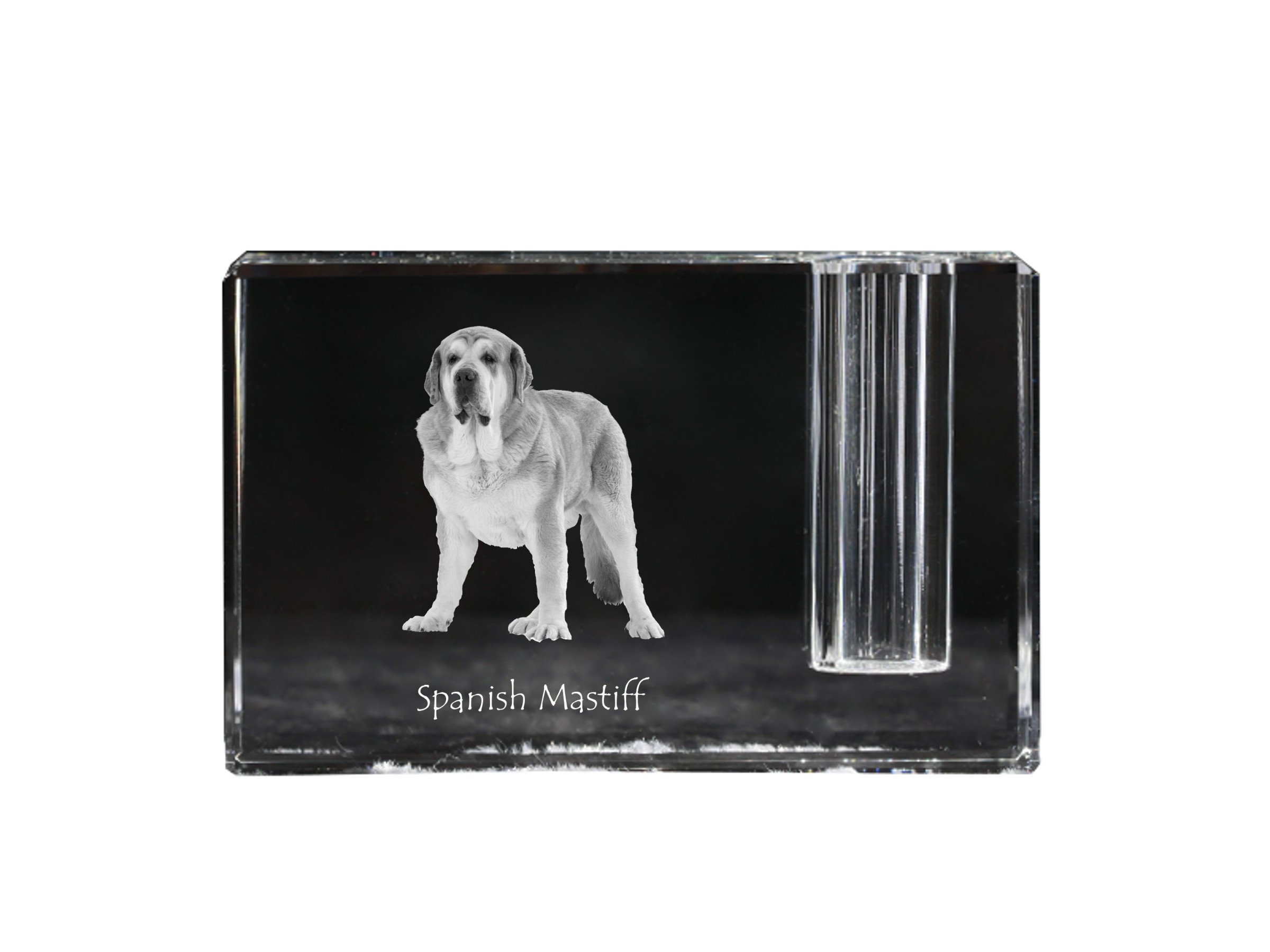 Spanish Mastiff Crystal Pen Holder - Unique Dog-Themed Desk Accessory & Collectible Souvenir (Limited Edition) - Perfect Gift for Office, Home Decor & Pet Lovers