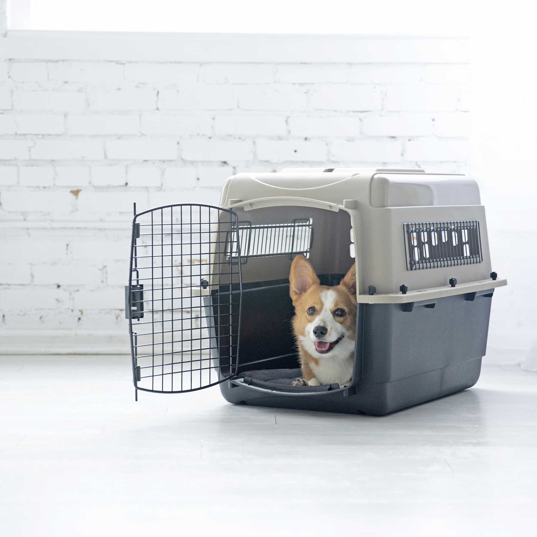 Petmate Traveler Ultra Vari Kennel - Durable & Secure Dog Crate for Air Travel, Car Rides & Home Use | Heavy-Duty Plastic Pet Carrier with Steel Door | Perfect for Large Dogs