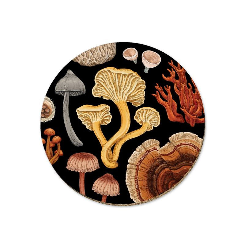 Premium NZ Fungi Bolete Coasters Set of 4 - Natural Wood Drink Coasters for Coffee Table, Bar, Home Decor - Unique Mushroom Design Absorbent & Durable
