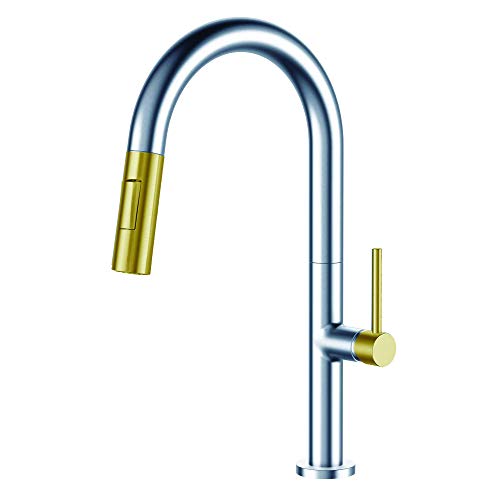 Polished Chrome/Satin Brass