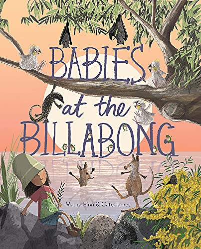 Babies At The Billabong Board Book by Maura Finn & Cate James - Australian Animal Story for Toddlers, Perfect for Bedtime Reading & Early Learning