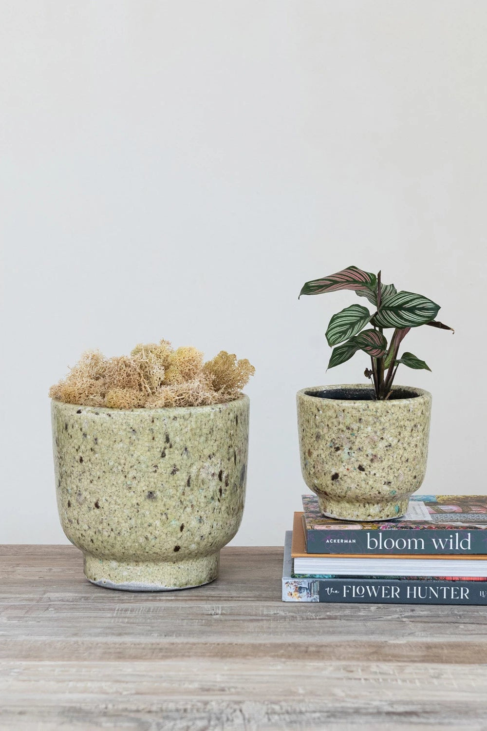 Terracotta Footed Planters for Indoor & Outdoor Plants - Handmade Clay Flower Pots with Drainage Holes - Perfect for Home Decor, Garden, Patio, and Balcony