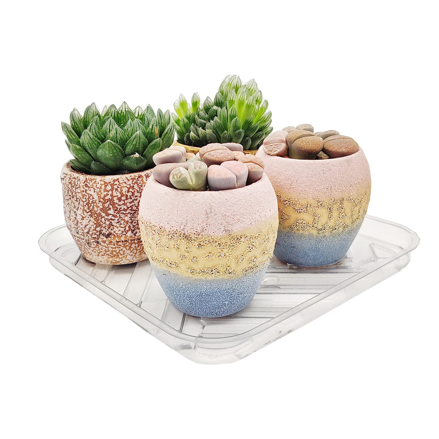 5 Pack 13 Inch Square Clear Plastic Plant Saucers - Heavy Duty Plant Drip Trays for Indoor/Outdoor Pots - Water Collection Base for Flower Pots, Planters & Gardening - Perfect for Home, Office & Balcony Use