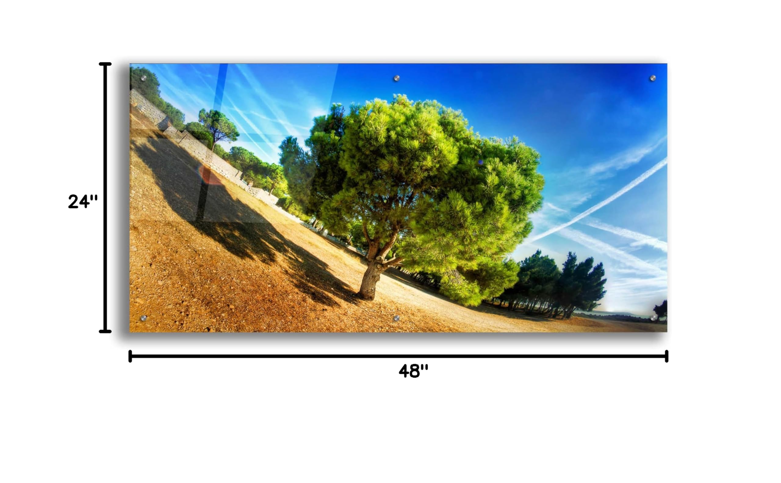 Epic Art 'Summer Tree' by Sebastien Lory - 48x24 Inch Acrylic Glass Wall Painting - Modern Home Decor for Living Room, Bedroom & Office