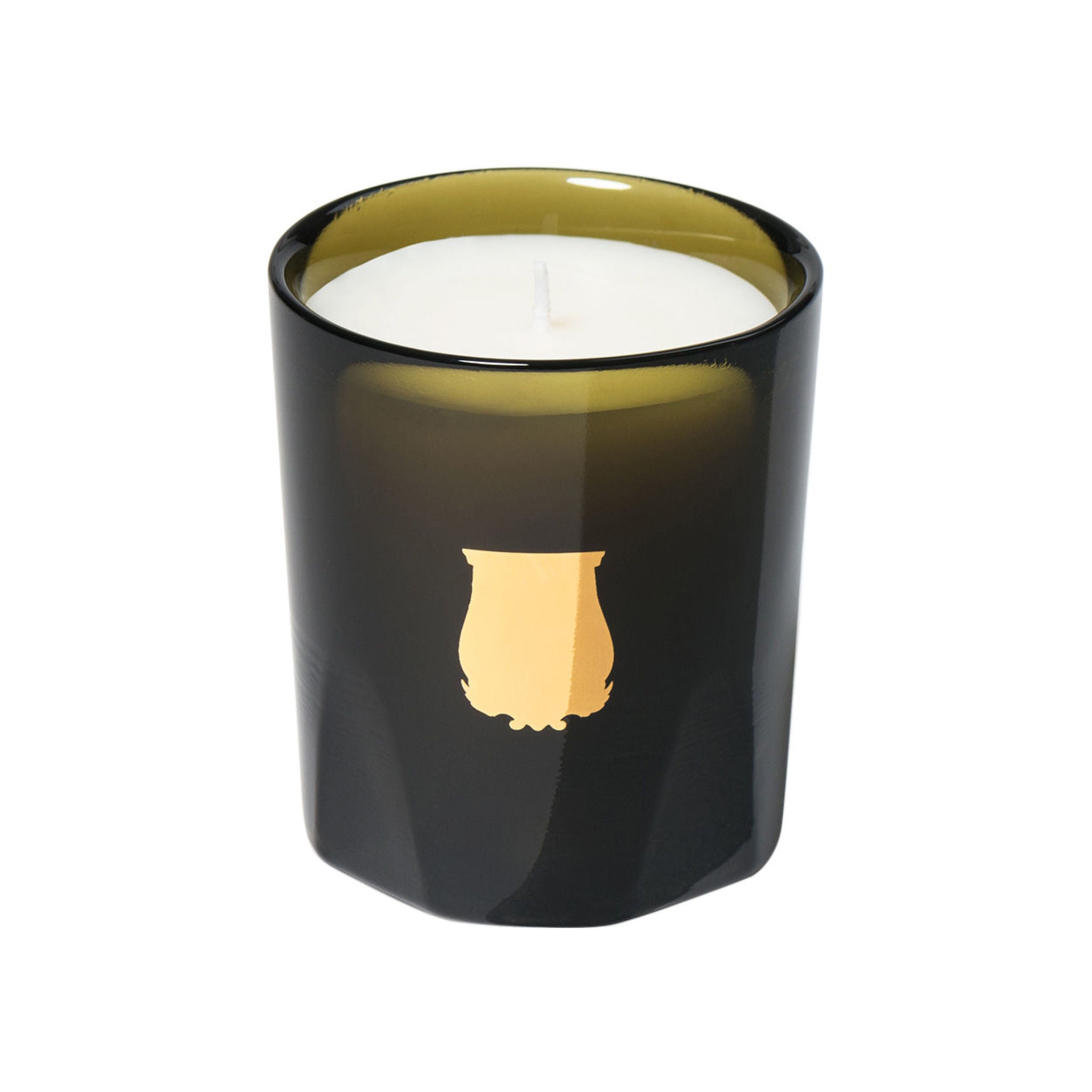 Luxury Cire Trudon Ernesto Scented Candle - Handcrafted in France with Premium Fragrance for Home Decor, Romantic Dinners & Relaxation