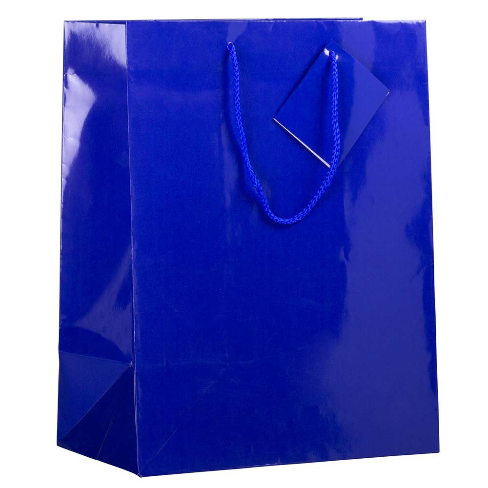 JAM Paper Glossy Blue Gift Bags with Rope Handles - 10x5x13 Inches - Bulk Pack of 100 - Perfect for Party Favors, Wedding Gifts & Holiday Packaging