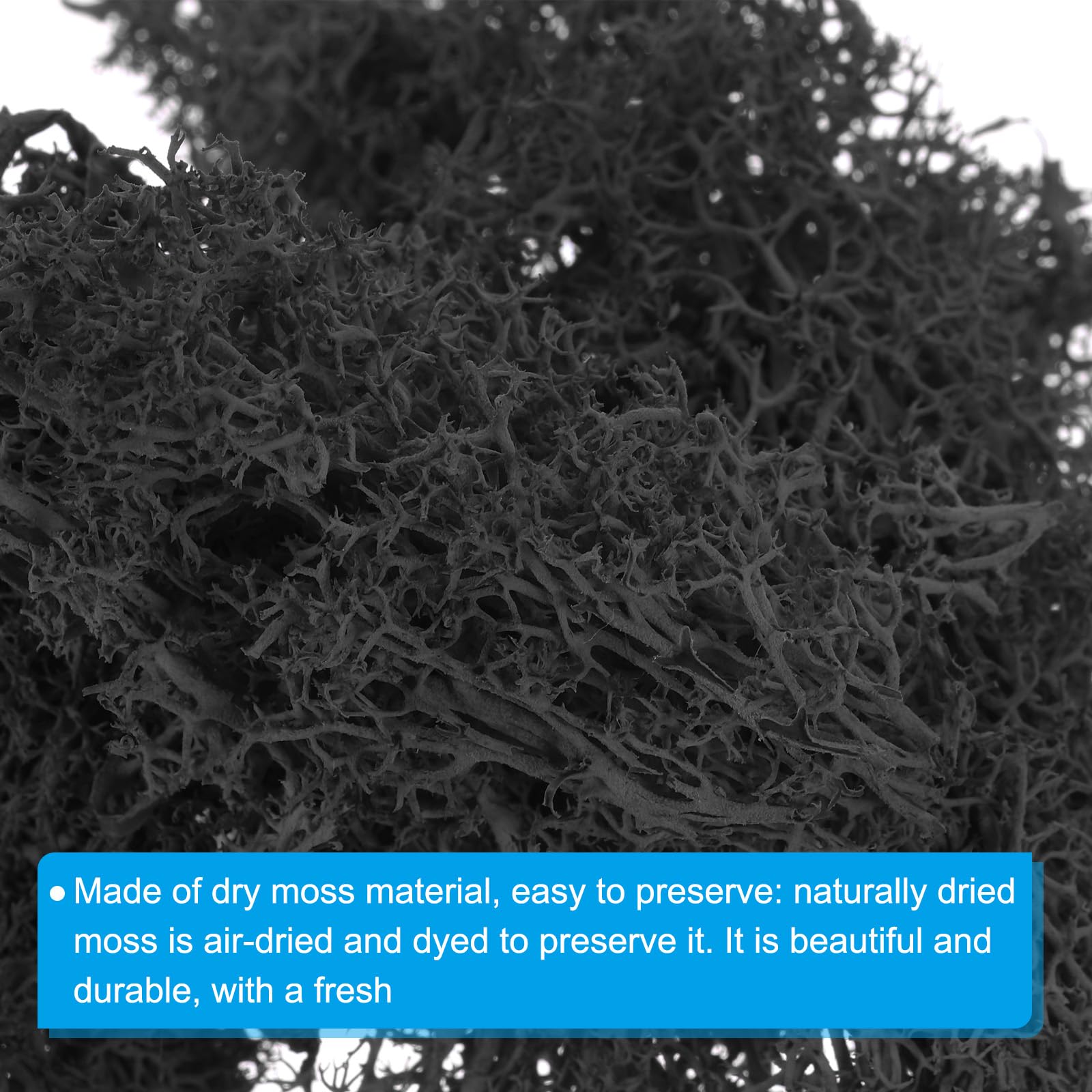PATIKIL 1.8 OZ Artificial Moss - Preserved Reindeer Moss for Home Decor, Potted Plants & Christmas Crafts | Faux Moss Lichen Centerpiece for DIY Projects, Terrariums & Seasonal Displays (Black)