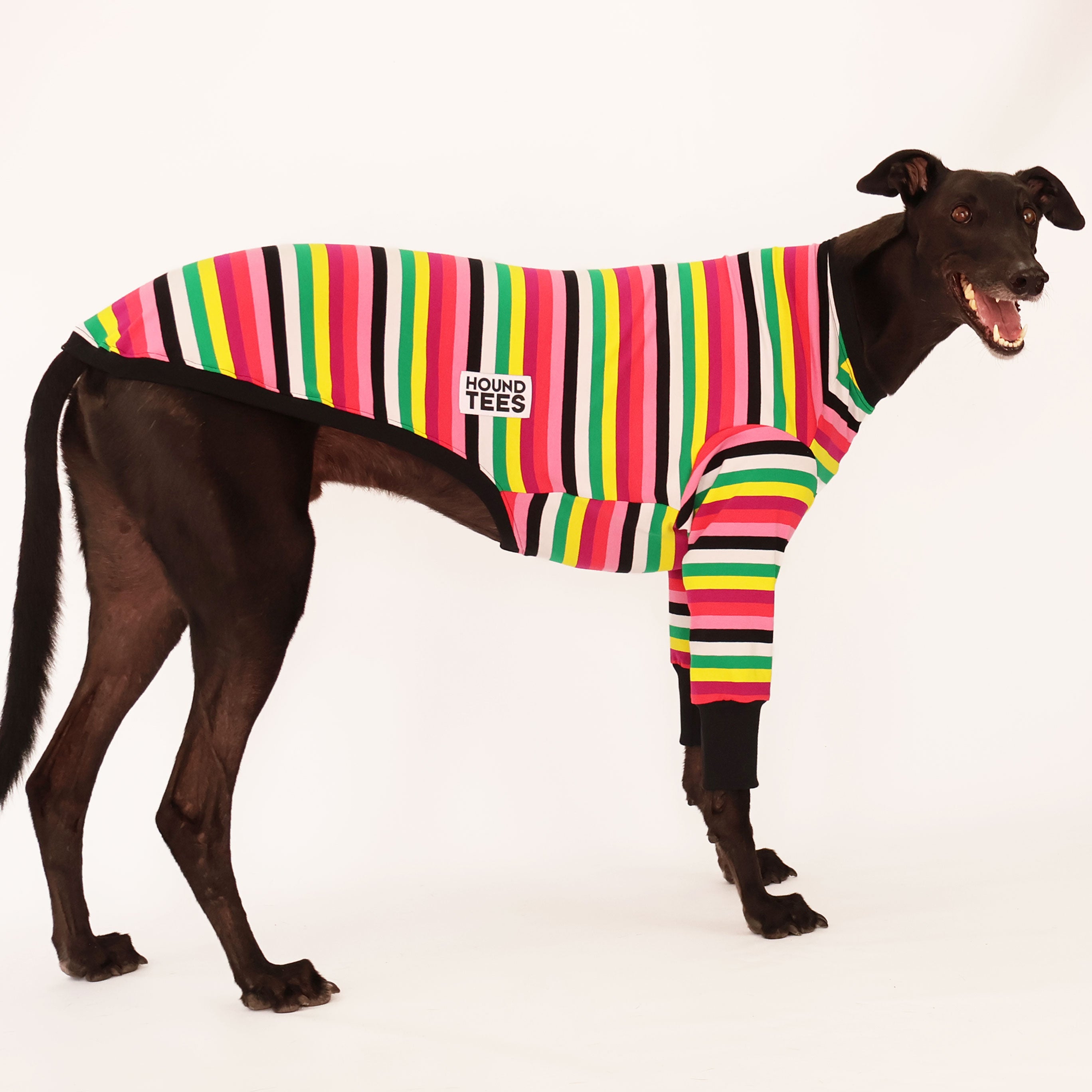 Licorice Allsorts Greyhound Long Sleeve T-Shirt - Cute Dog Lover Apparel for Casual Wear & Gift Giving