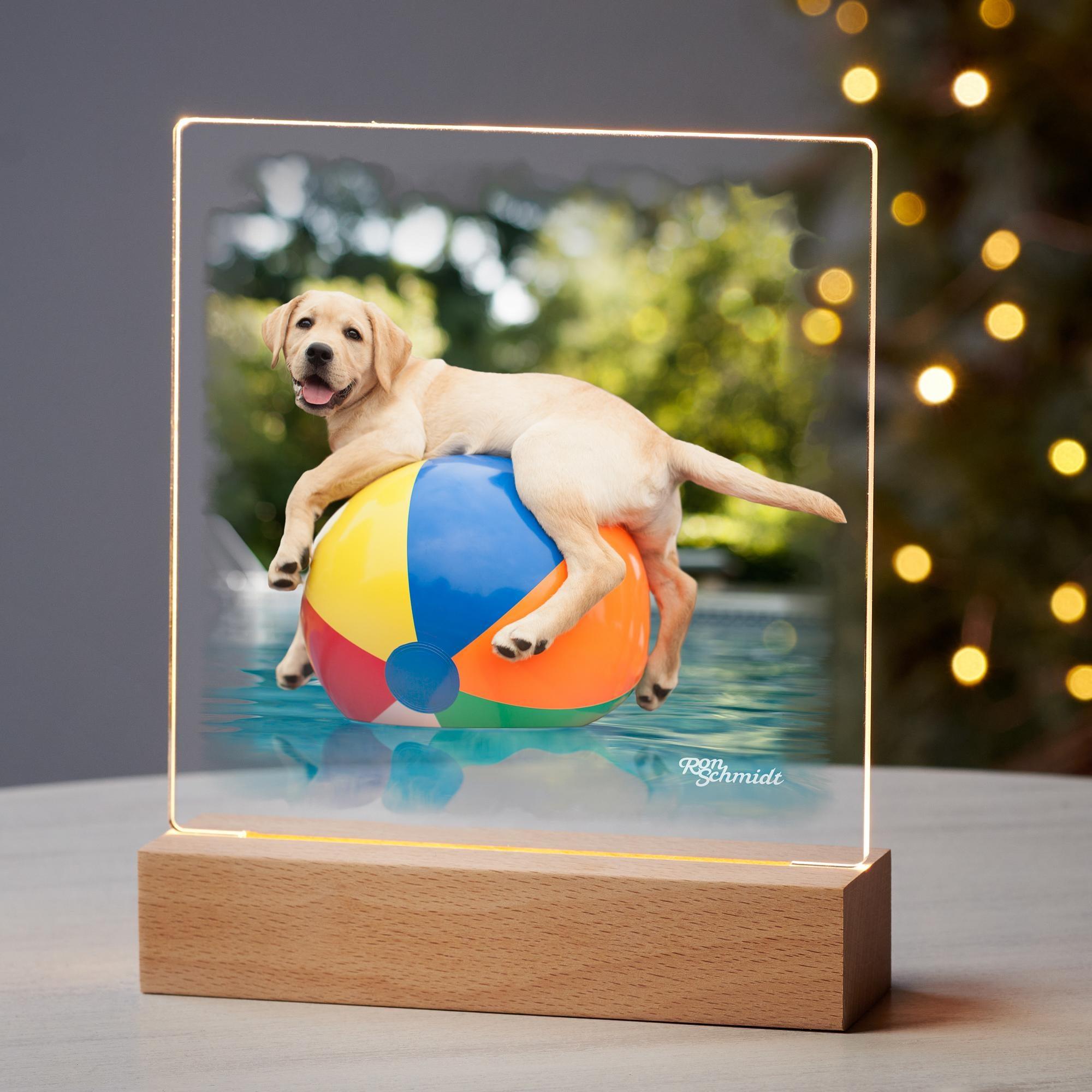 Ducky Yellow Lab Acrylic Night Light - Cute Dog-Themed LED Night Light for Kids' Room, Nursery, Bedroom Decor | Perfect Gift for Dog Lovers & Pet Owners