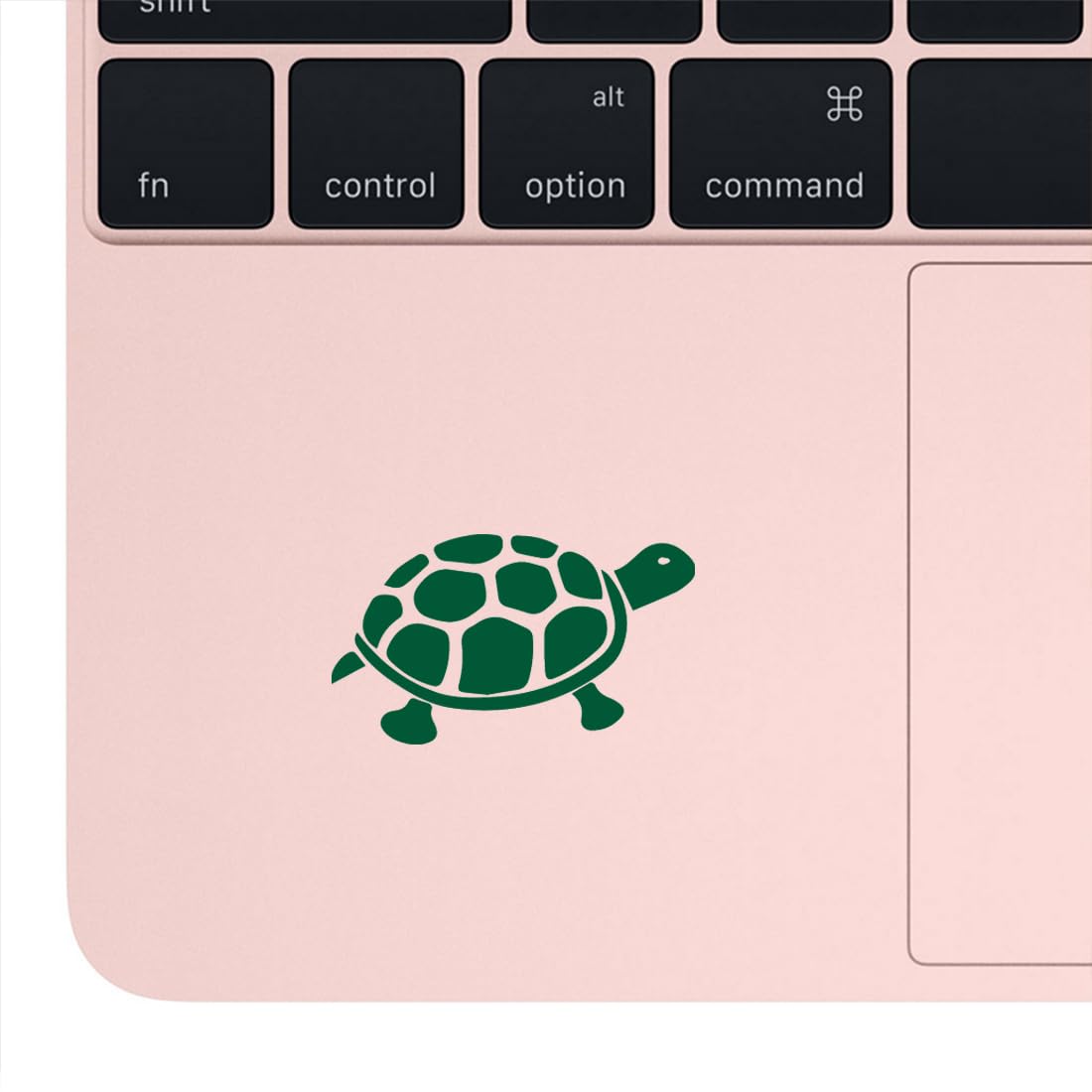 Premium Waterproof Vinyl Decal Stickers (Set of 2) - Tortoise Turtle Tropical Green Design for Laptop, Phone, Helmet, Car Window, Bumper, Mug, Cup, Door & Wall Decoration - Perfect for Home, Office, School & DIY Projects