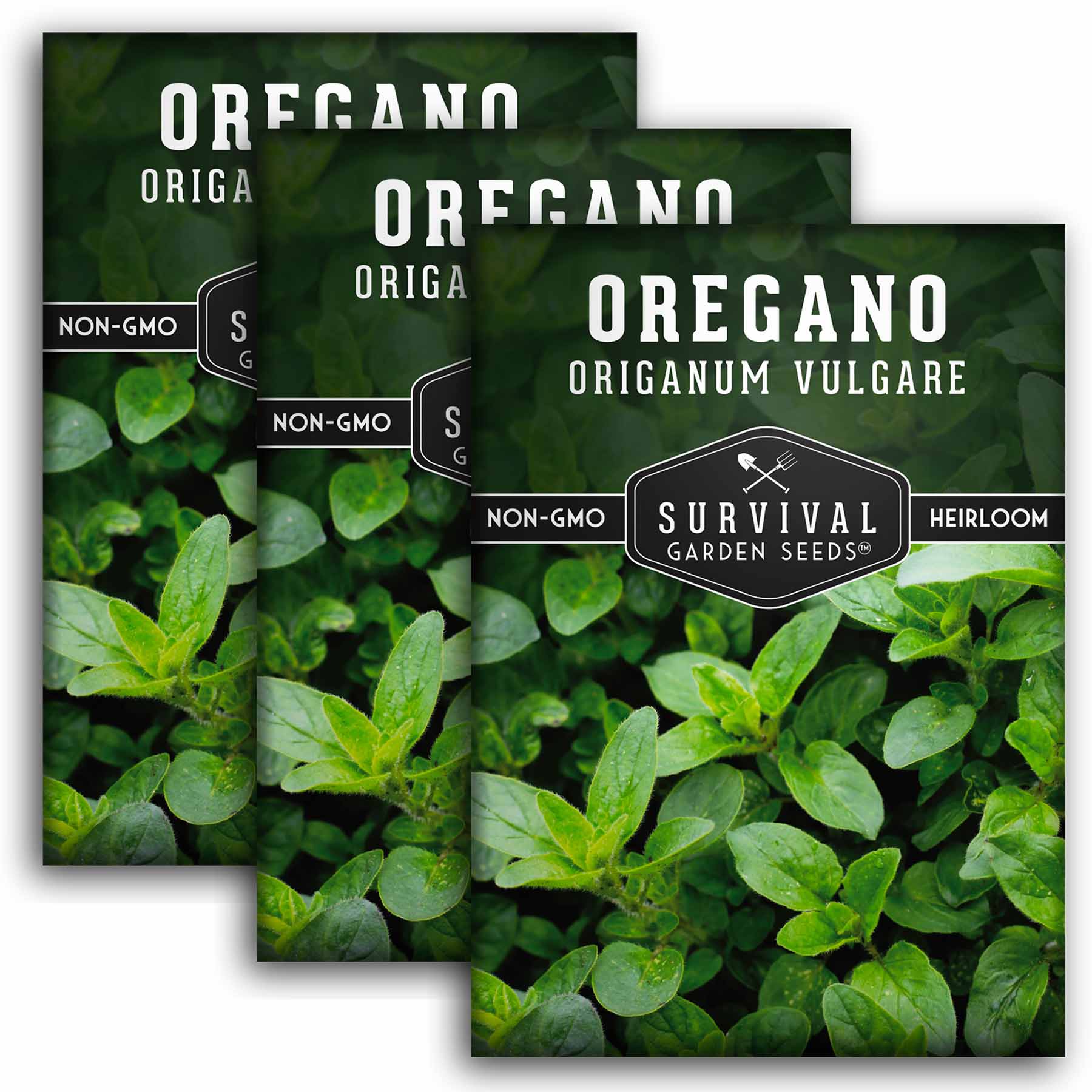 Organic Oregano Seeds for Planting - Non-GMO, Heirloom Herb Seeds for Home Garden, Cooking & Medicinal Use - Perfect for Indoor & Outdoor Herb Gardens