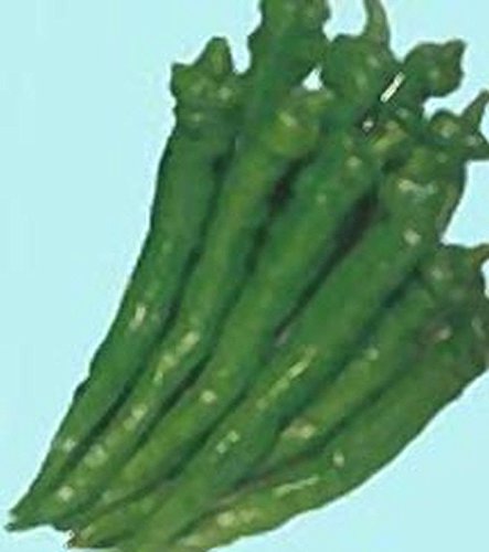 Fushimi Sweet Japanese Pepper Seeds - Rare Heirloom Variety - Easy to Grow - 10 Pack - Perfect for Home Gardens & Asian Cuisine