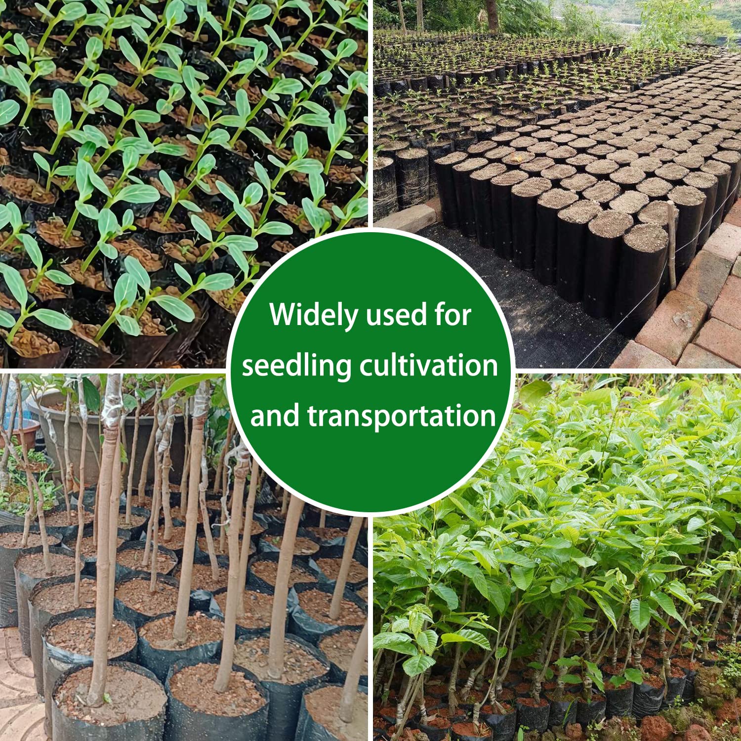 Belit 100 Pcs Plant Nursery Bags - 3.5