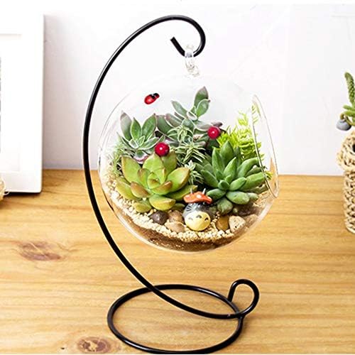 Large Hanging Glass Air Plant Terrarium - Succulent Planter Globe with Micro Landscape Display for Home, Office Decor | Perfect for Tabletop, Shelf, or Wall Decoration