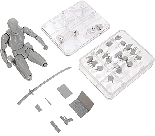 Body Kun & Body Chan Male & Female Action Figure Set - Artist Drawing Mannequin for Sketching, Painting & Figure Study | Perfect for Art Class, Studio Practice & Animation Reference (Gray DX Version)