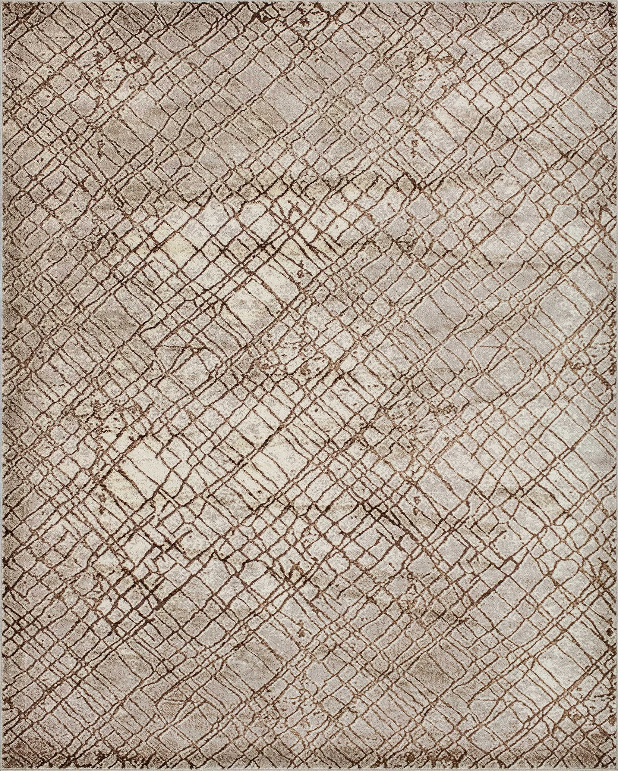Noori Lagoon Jenifer Beige and Brown Area Rug 5'3