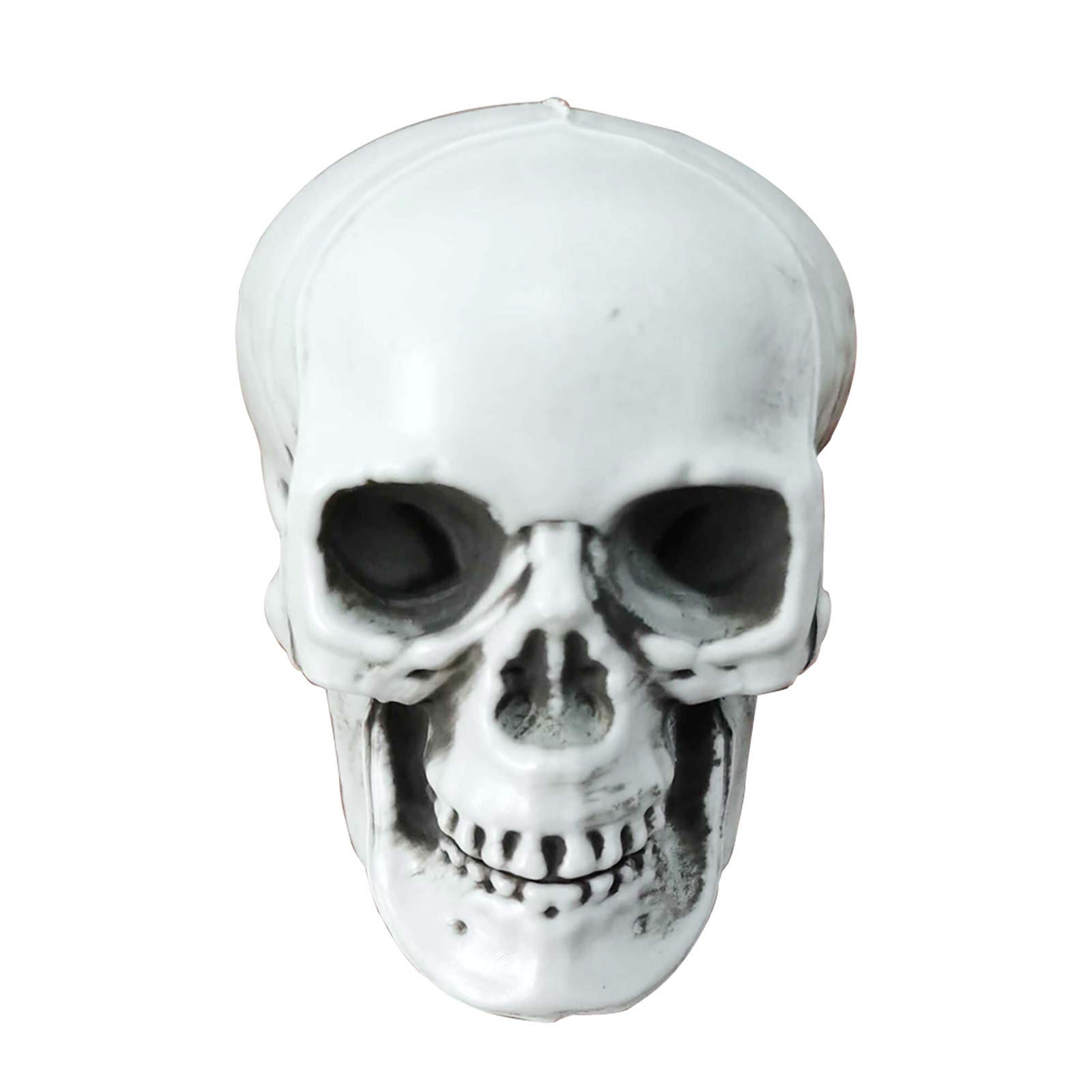 Realistic Plastic Human Skull Halloween Decor - Spooky Skeleton Head for Halloween Party, Haunted House & Room Decoration - Scary Props for Trick or Treat, Horror Theme Parties & Seasonal Home Decor