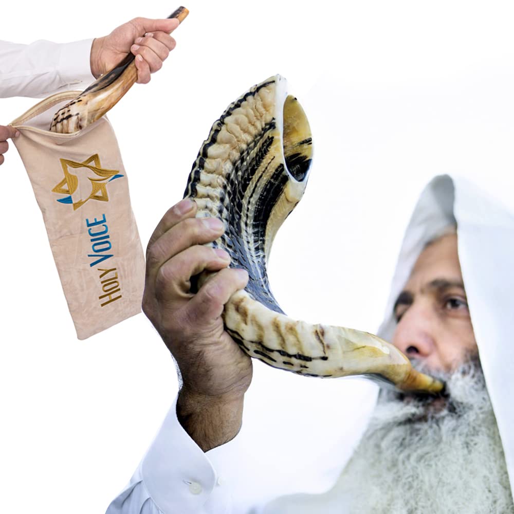 Handmade Kosher Ram Shofar from Israel - 18