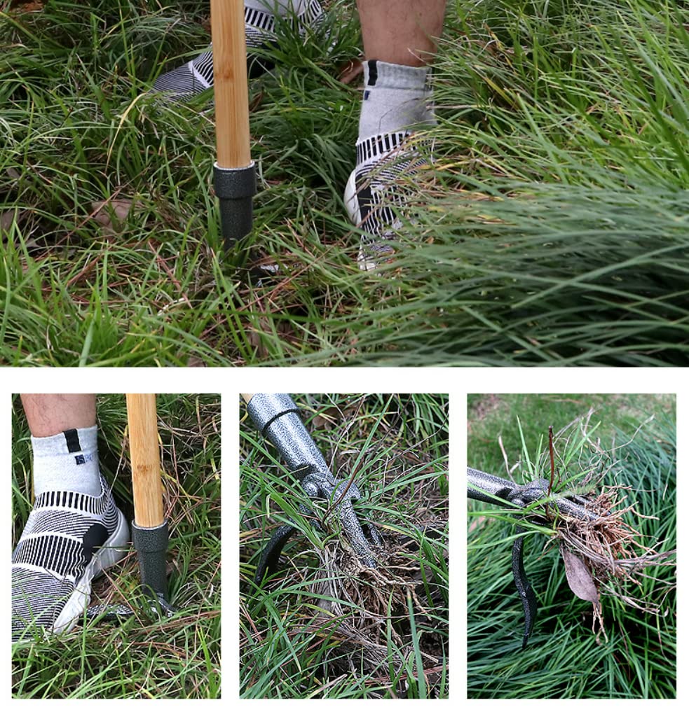DSWINCE Stand Up Weed Puller Head Replacement - Ergonomic Gardening Hand Tool for Dandelions & Weeds - No Bending Root Extractor for Backyard, Lawn & Patio (Handle Not Included) - Perfect for Elderly Gardeners & People with Back Pain