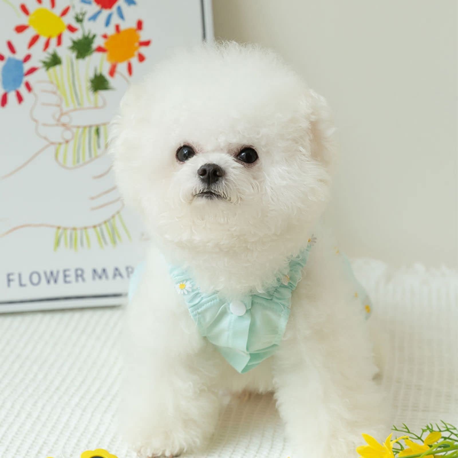 Elegant Princess Small Dog Dress - Lightweight Spring Summer Pet Clothes for Puppies & Dogs | Perfect for Parties, Weddings & Daily Walks