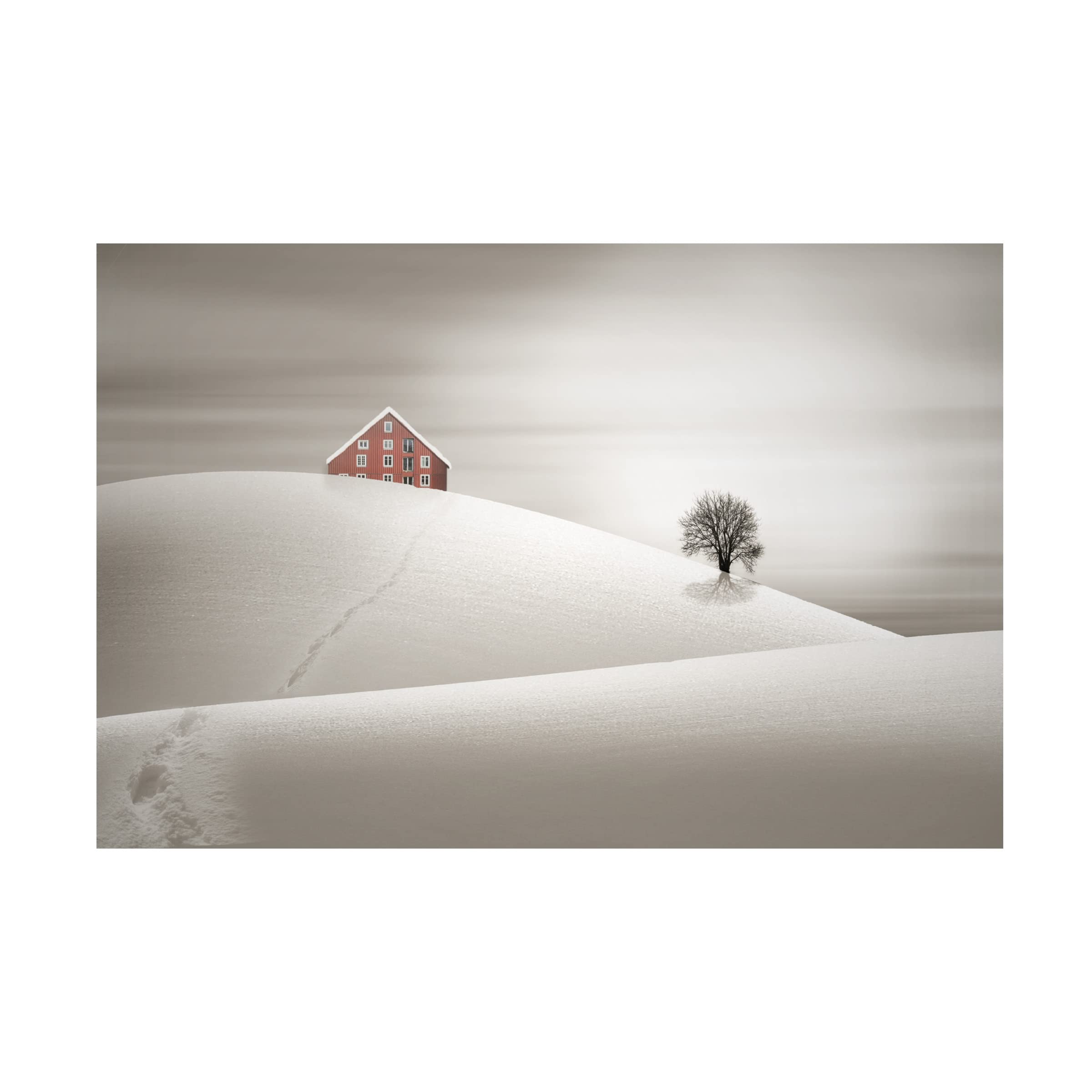 Trademark Fine Art 'Winter' Canvas Wall Art by Agniribe - Perfect for Living Room, Bedroom & Office Decor