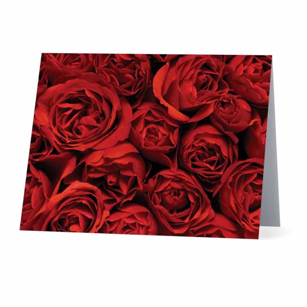 10-Pack Red Roses Greeting Cards - Elegant Floral Note Cards for Thank You, Birthday, and Special Occasions