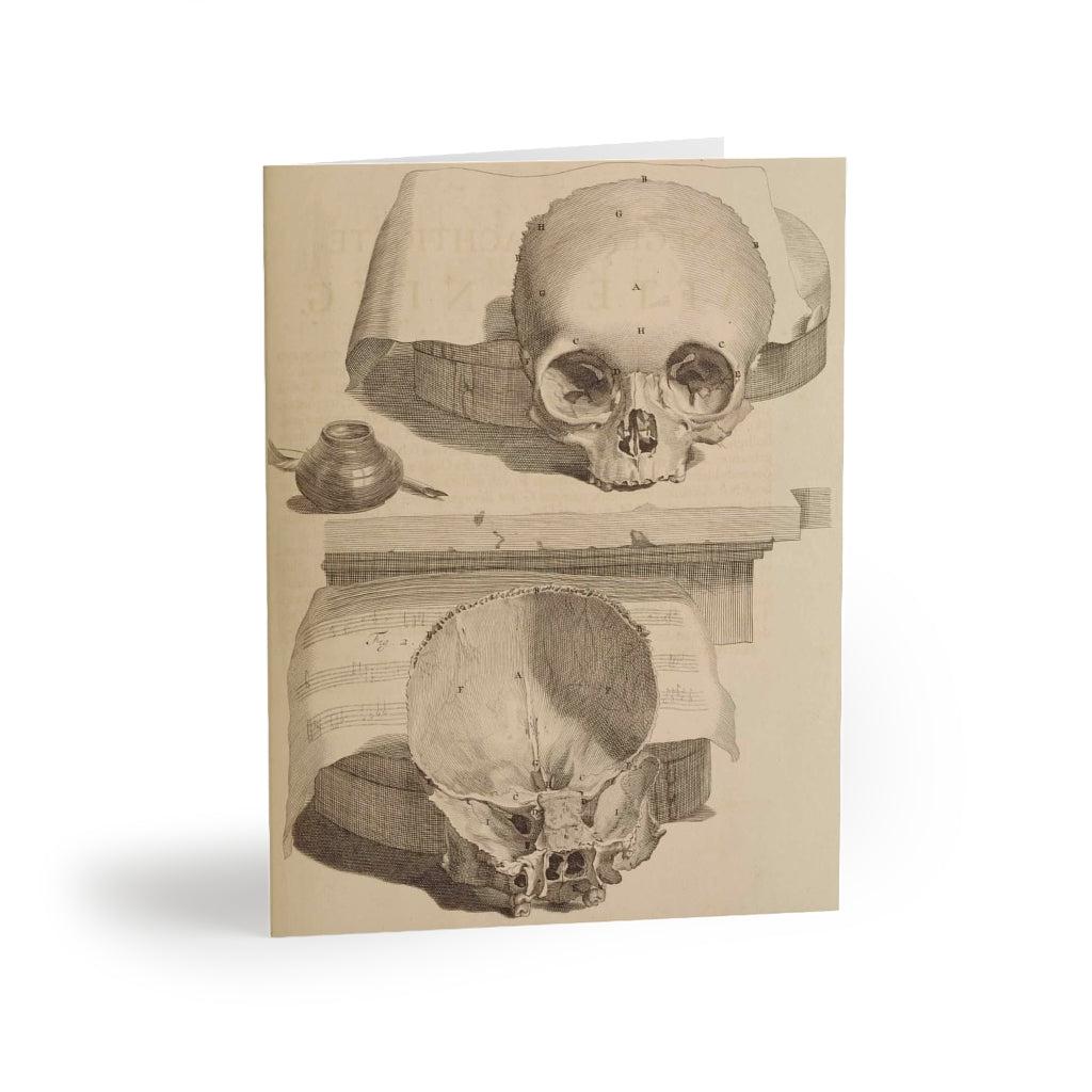 Bisected Human Skull Greeting Card Pack - 12 Unique Halloween Cards with Anatomical Design - Perfect for Halloween Parties, Medical Student Gifts & Dark Humor Enthusiasts