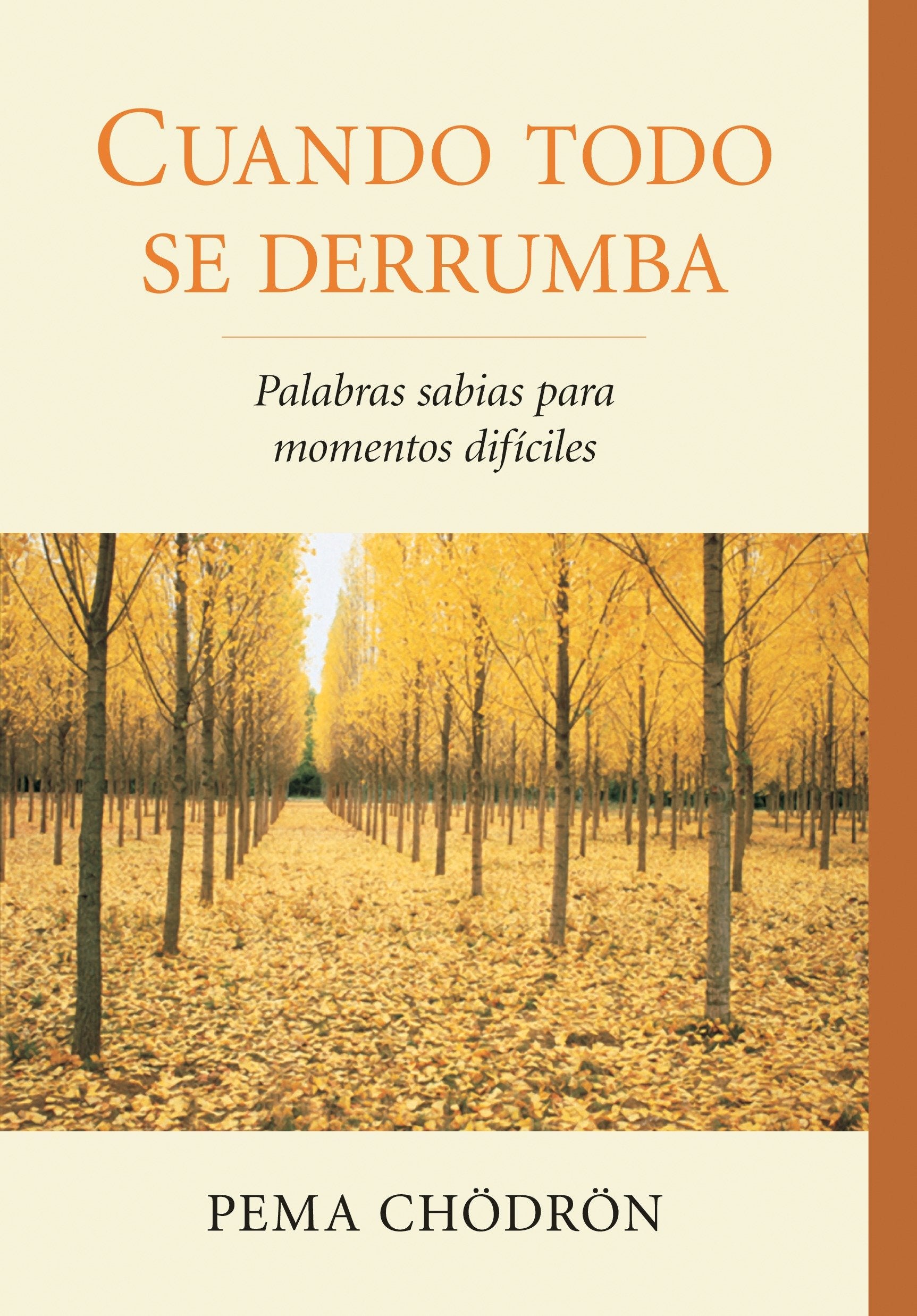 When Things Fall Apart: Heart Advice for Difficult Times by Pema Chodron - Inspirational Book for Overcoming Life Challenges, Mindfulness & Spiritual Growth (Perfect for Meditation, Self-Help & Personal Transformation)