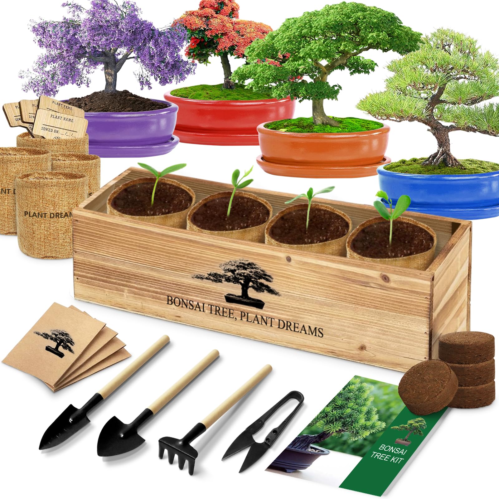 Bonsai Tree Kit - Complete Starter Set with 4 Bonsai Seeds, Essential Tools & Planters | Live Indoor Bonsai Plants | Perfect Gardening Gift for Women, Men, Mom & Dad | Ideal for Home Decor, Office Zen Garden & Plant Therapy