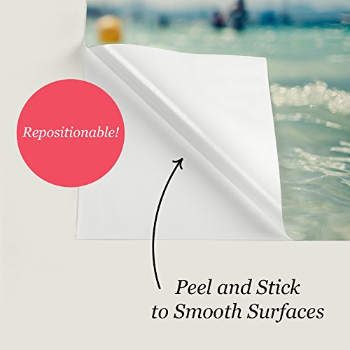 Tropical Bird of Paradise Wall Decal - Vibrant Peel and Stick Wall Art for Home & Office Decor - Perfect for Living Room, Bedroom, Nursery or Tropical Themed Spaces