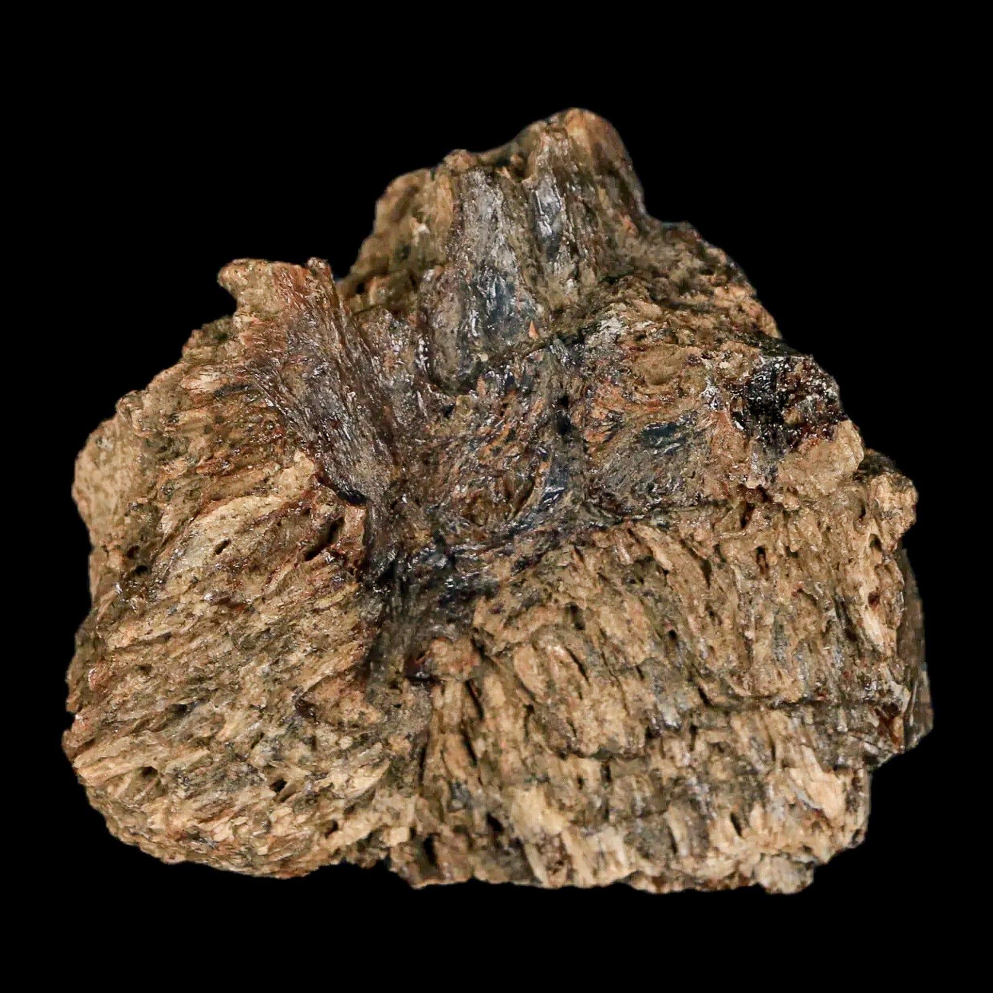 1.9