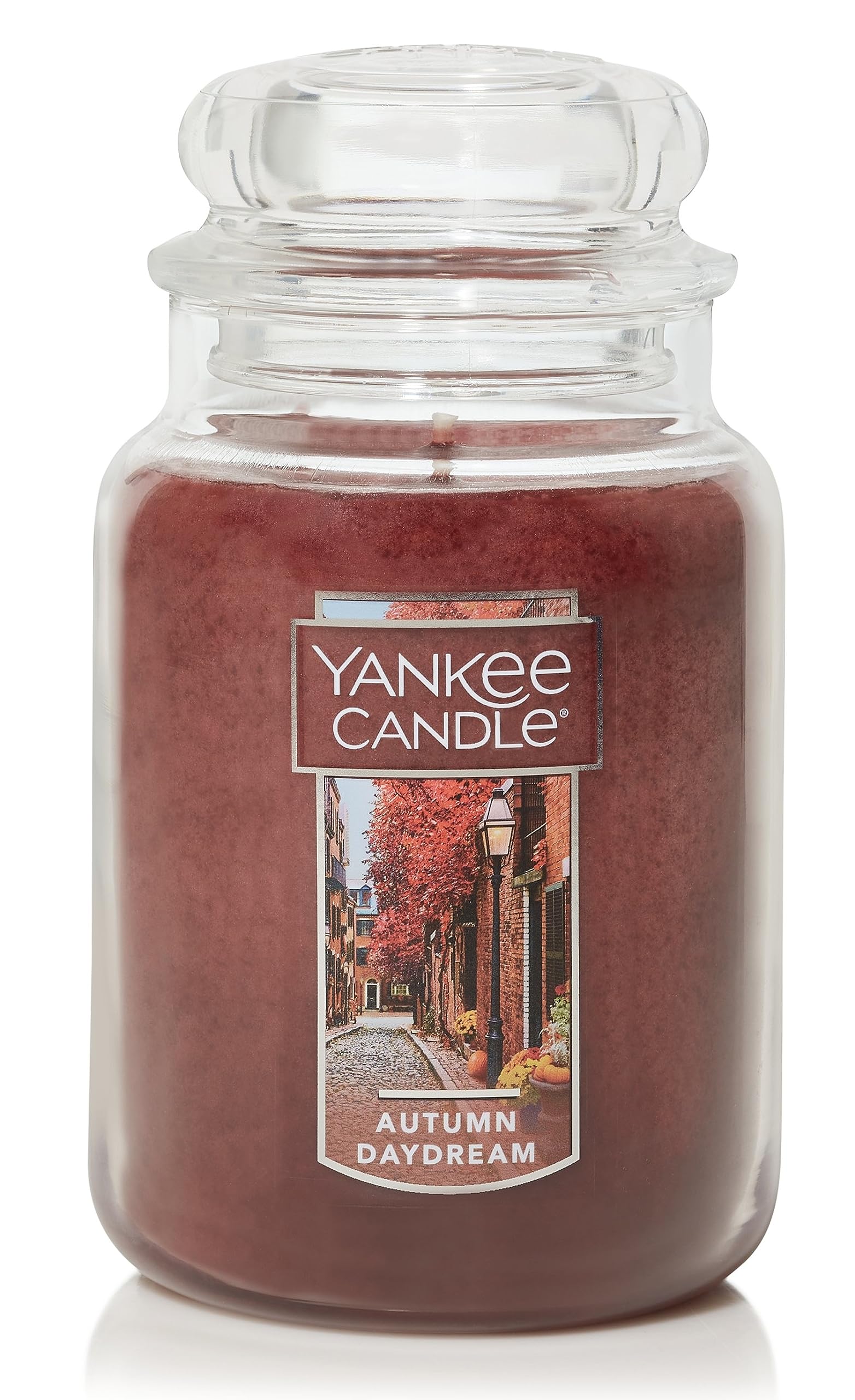 Yankee Candle Autumn Daydream Large Classic Jar Candle - 14.5oz Scented Candle for Home Decor, Fall Aromatherapy & Cozy Ambiance