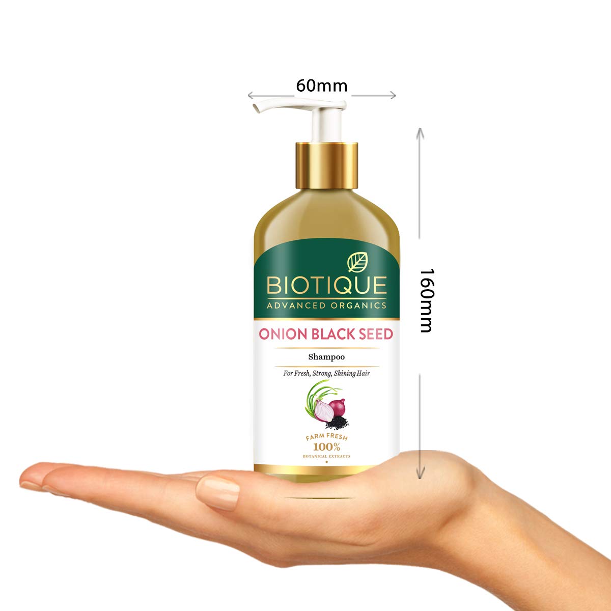 Biotique Onion Black Seed Shampoo for Hair Growth - 300ml | Anti-Hair Fall Treatment for Fresh, Strong & Shiny Hair | Perfect for Daily Use & Scalp Care