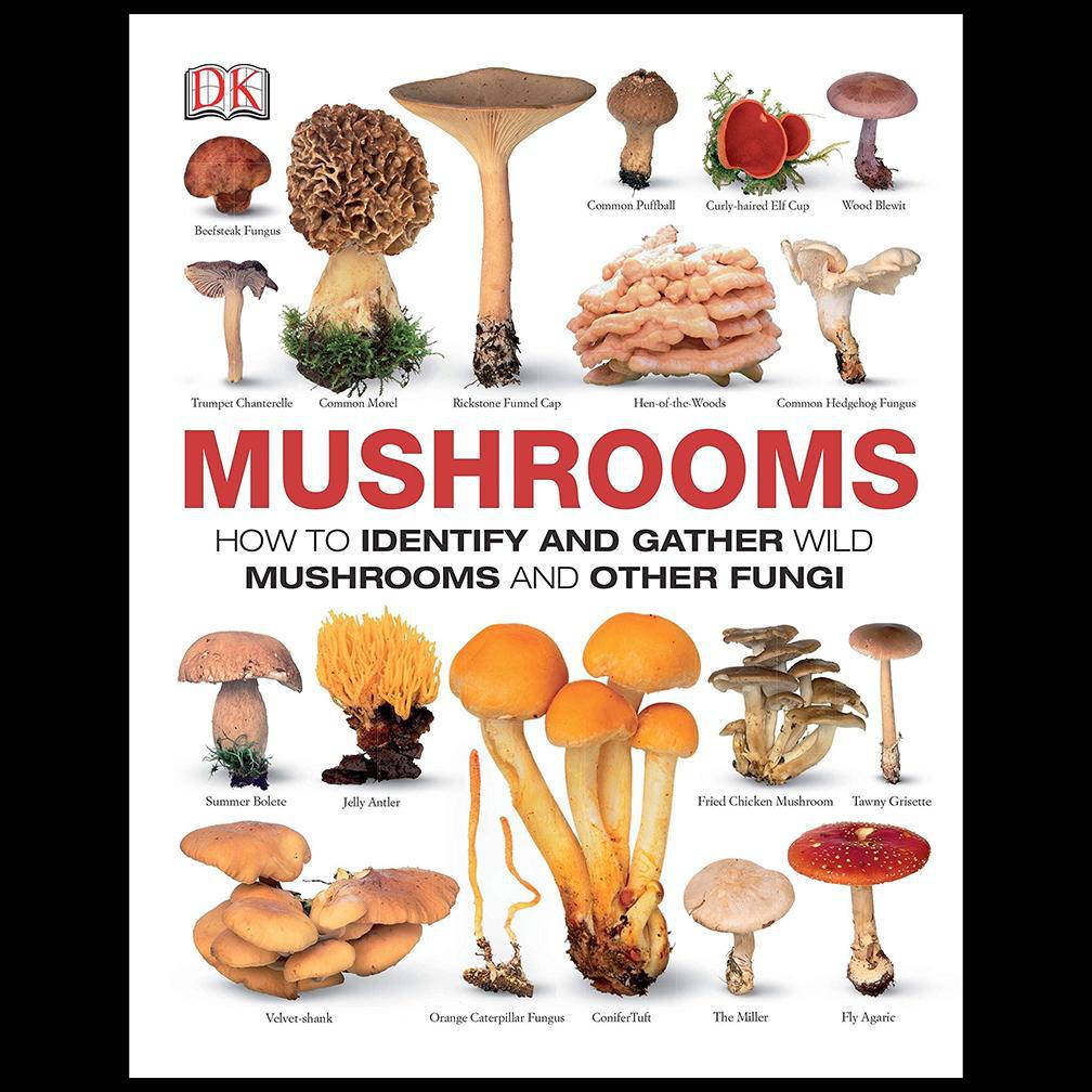 **Wild Mushrooms Identification Guide: How to Forage, Identify & Harvest Edible Fungi Safely – Perfect for Hiking, Camping & Nature Exploration**