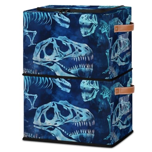 Dinosaur Skeleton