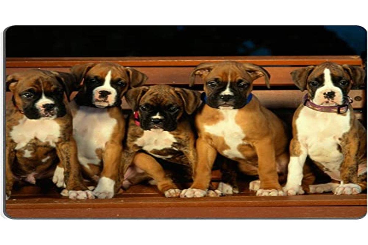 Custom Boxer Puppy Mouse Pad - 9.7