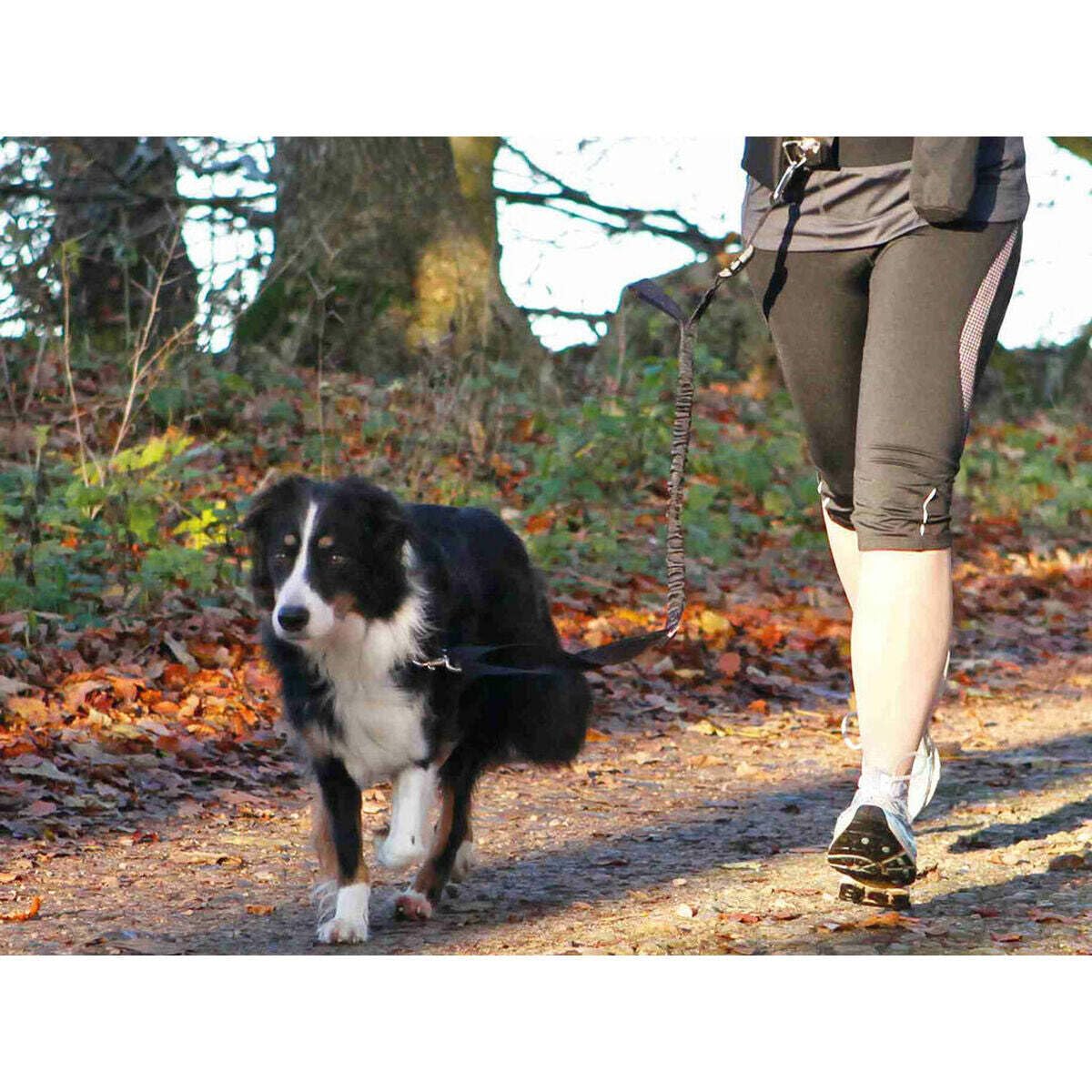 TRIXIE Hands-Free Dog Walking Belt with Adjustable Leash - Comfortable Waist Strap for Medium to Large Dogs - Perfect for Jogging, Hiking & Outdoor Adventures