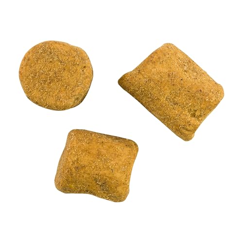 Liver and Cheese
